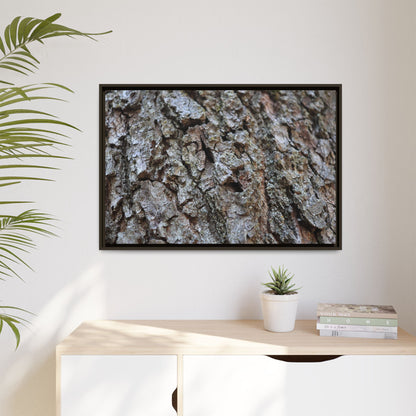 Woodland Canvas - Unique Stretched Canvas Wall Art - Art By Earth