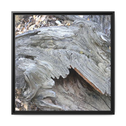 Driftwood Dreams - Unique Stretched Canvas Wall Art - Art By Earth