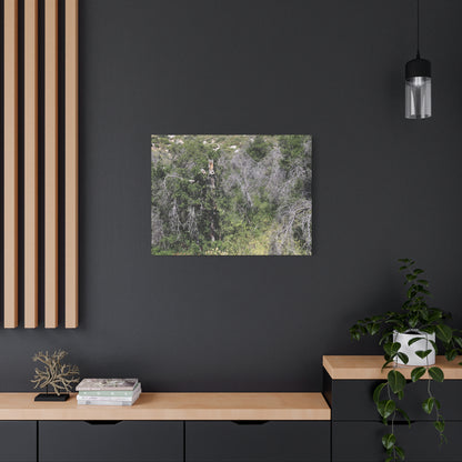 Drought-Stricken Forest - Unique Frameless Canvas Wall Art
