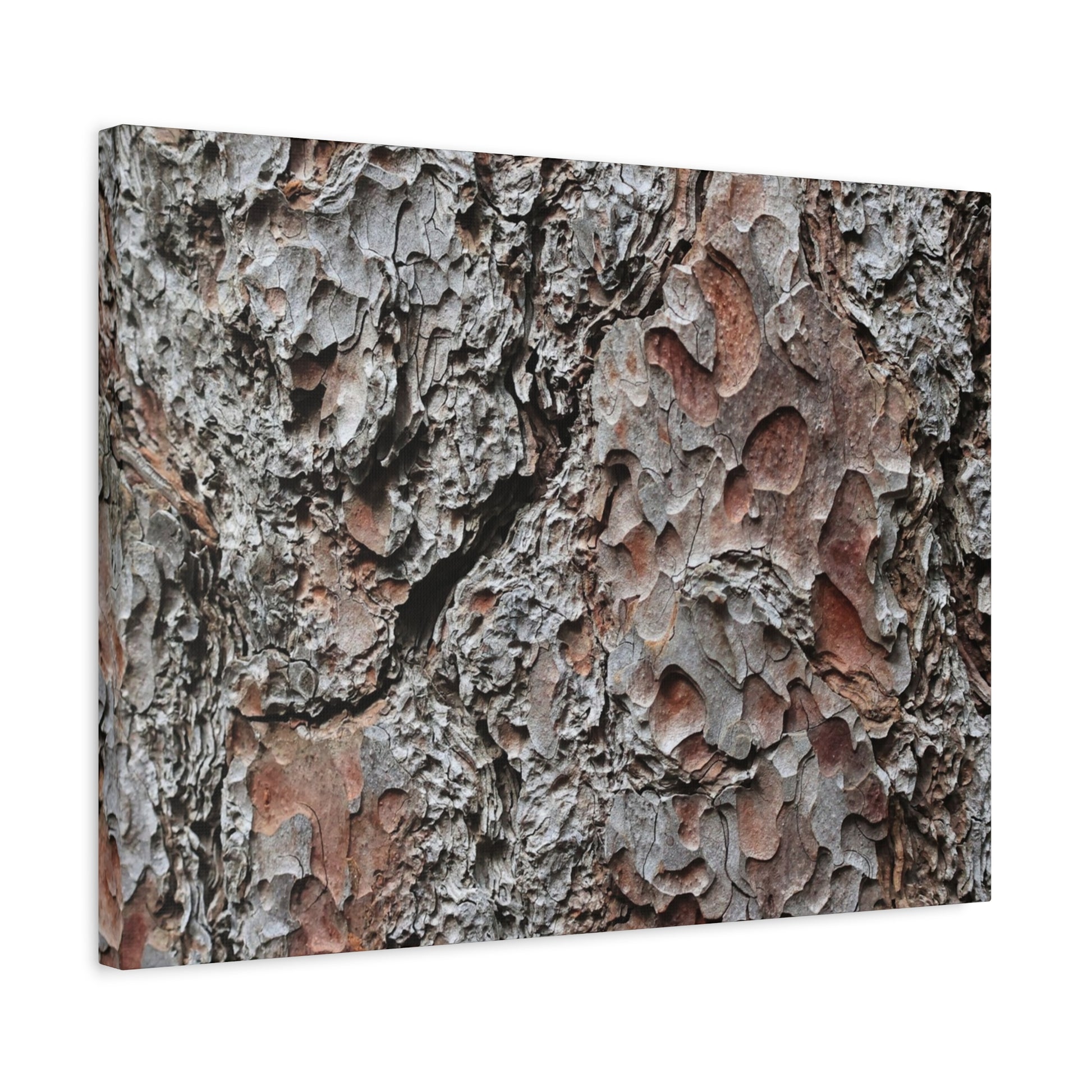Textured Whispers of Bark - Unique Frameless Canvas Wall Art - Art By Earth