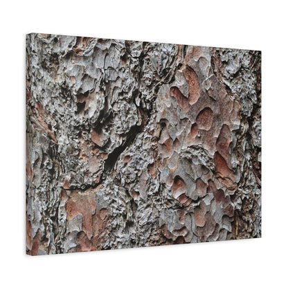 Textured Whispers of Bark - Unique Frameless Canvas Wall Art - Art By Earth