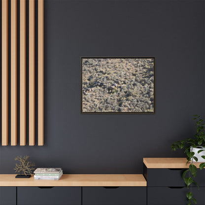 Arid Terrain Study - Unique Stretched Canvas Wall Art - Art By Earth