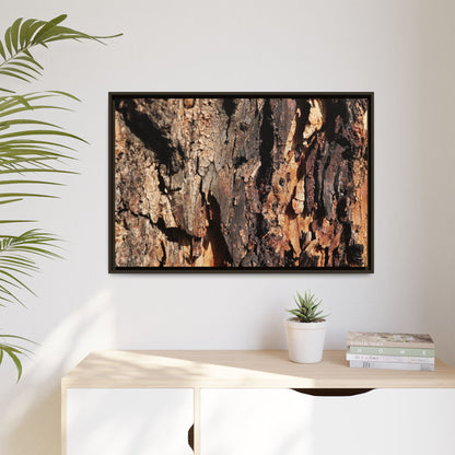 Rugged Beauty - Unique Stretched Canvas Wall Art - Art By Earth