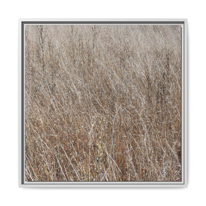 Dry Grass Symphony - Unique Stretched Canvas Wall Art - Art By Earth