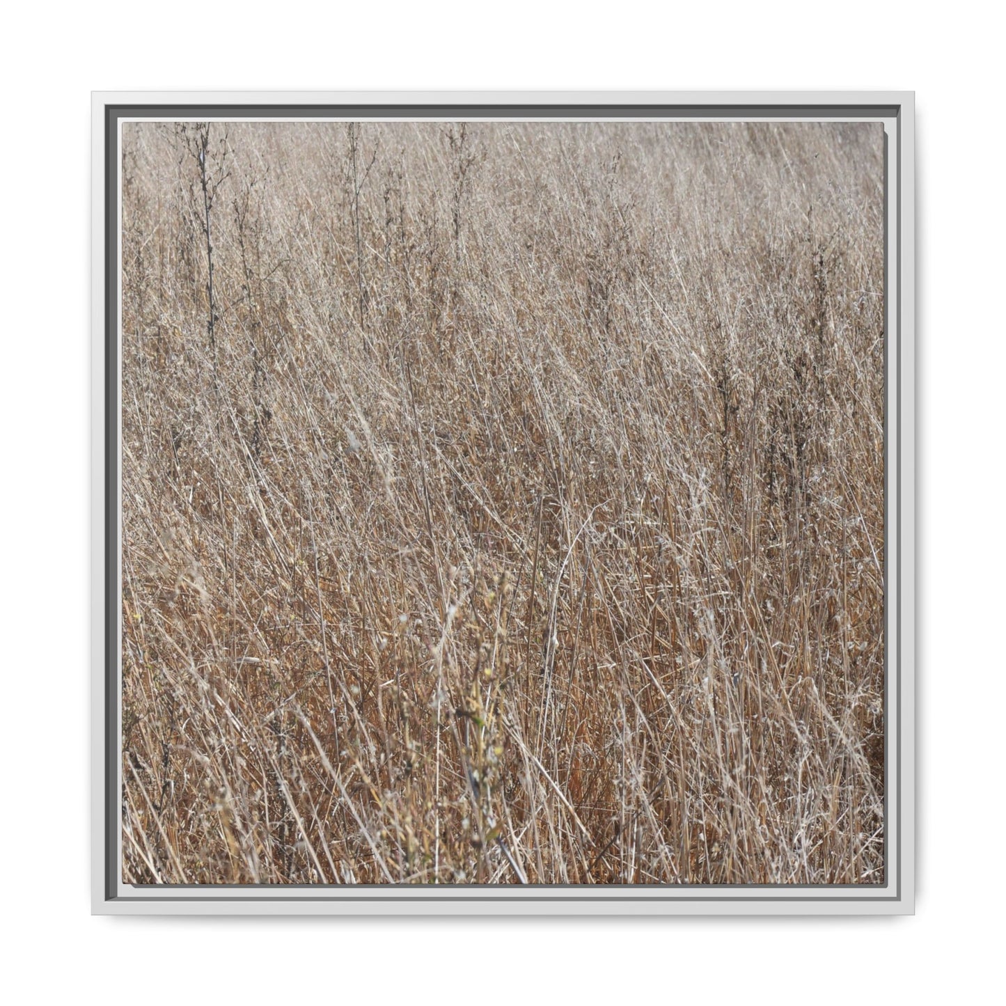 Whispers of Autumn - Unique Stretched Canvas Wall Art - Art By Earth