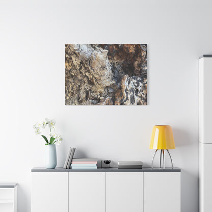 Weathered Bark Texture - Unique Frameless Canvas Wall Art - Art By Earth