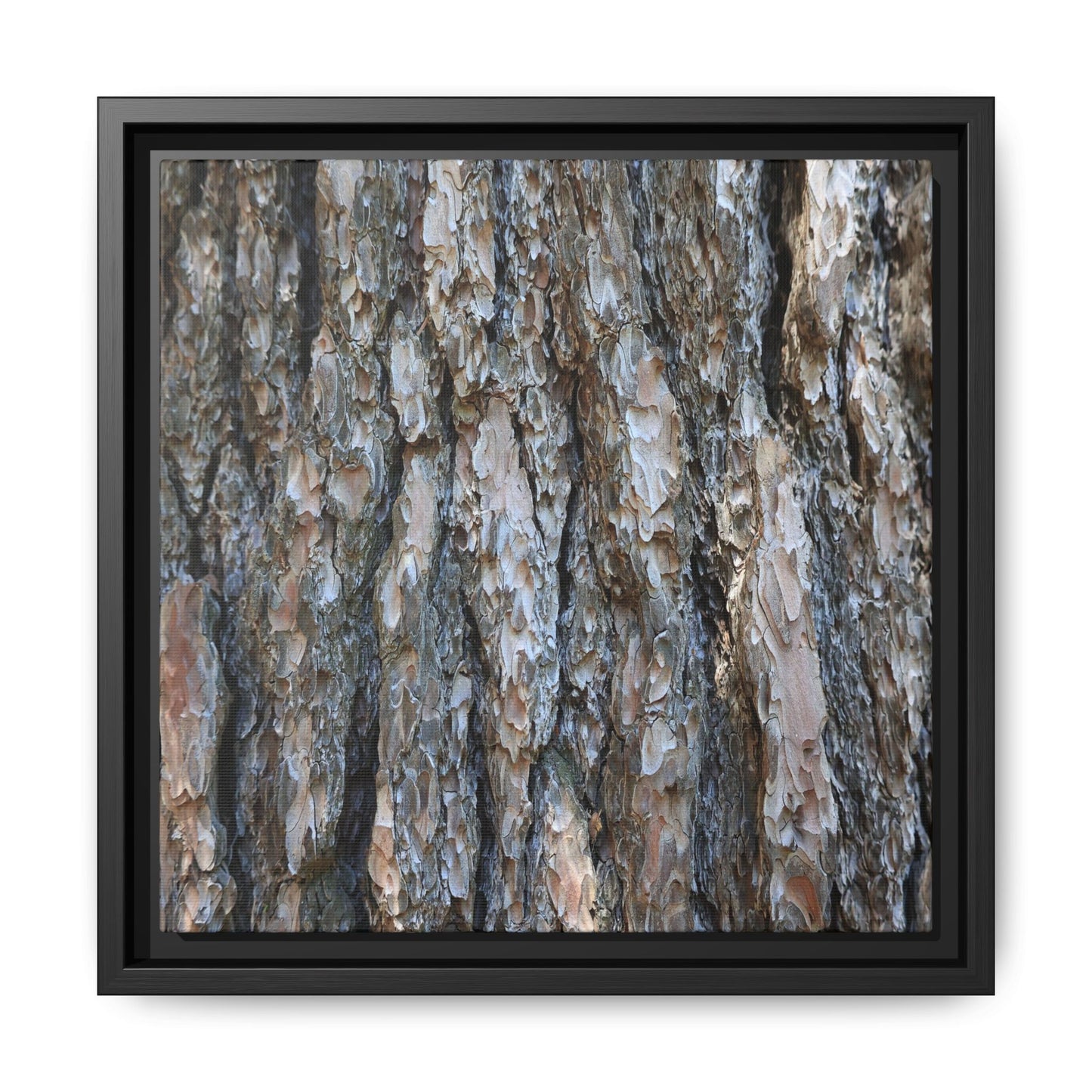 Bark Whispers - Unique Stretched Canvas Wall Art - Art By Earth