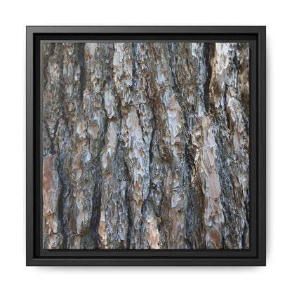 Bark Whispers - Unique Stretched Canvas Wall Art - Art By Earth