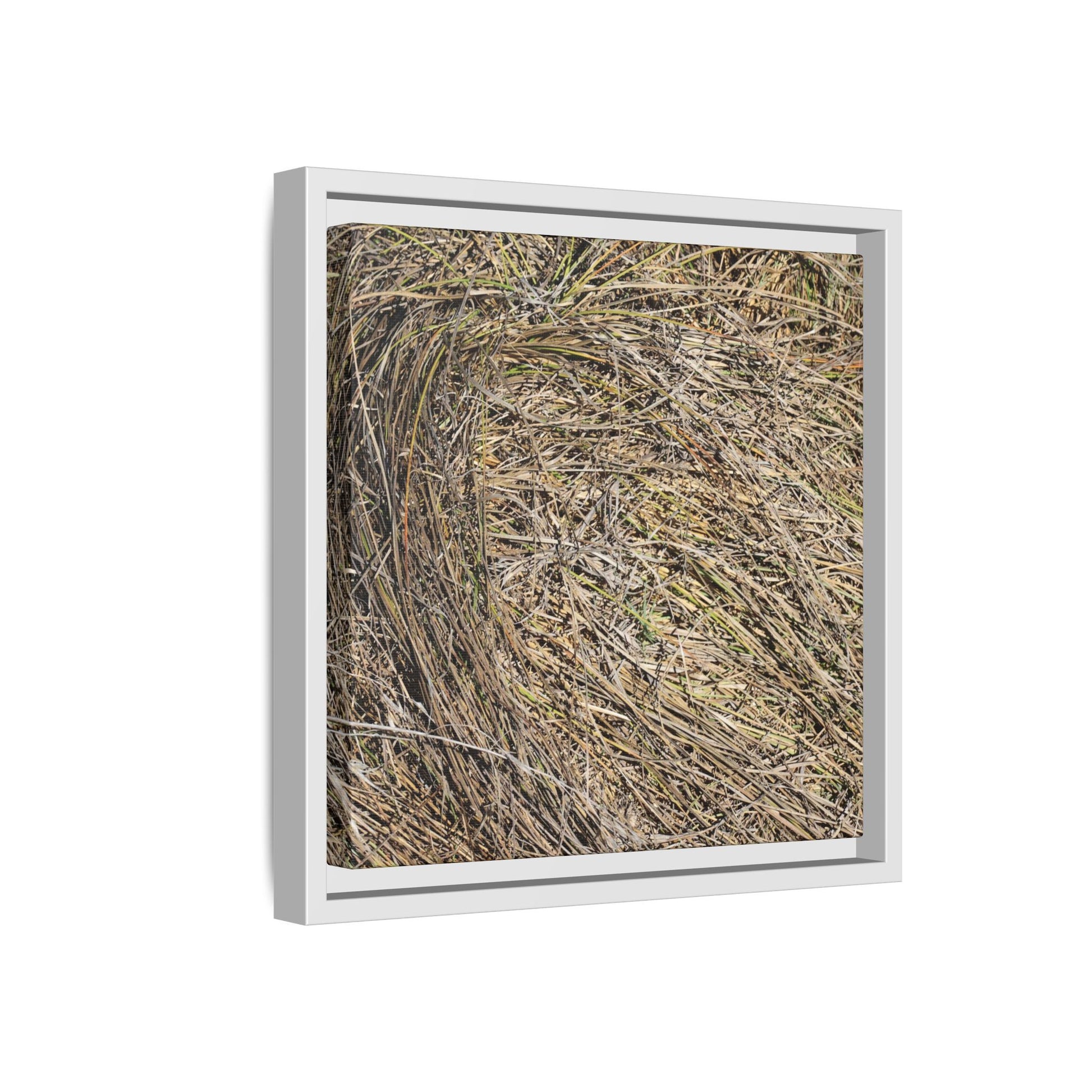 Tangled Grass Symphony - Unique Stretched Canvas Wall Art - Art By Earth