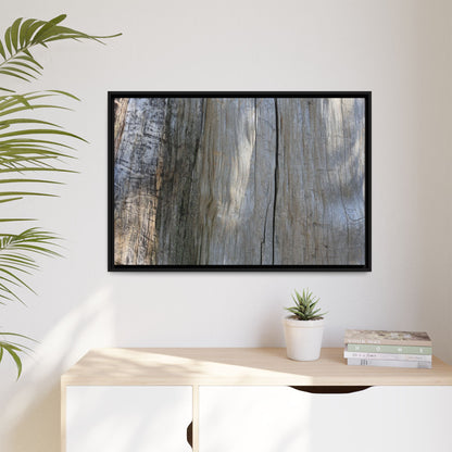 Cracked Timber Texture - Unique Stretched Canvas Wall Art