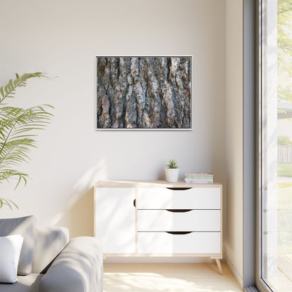 Bark Whispers - Unique Stretched Canvas Wall Art - Art By Earth