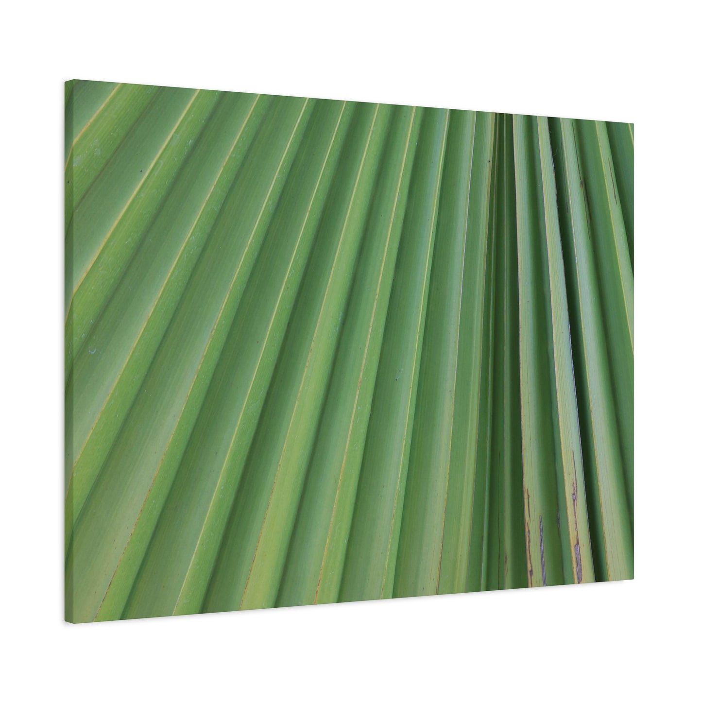 Palm Pulse - Unique Frameless Canvas Wall Art - Art By Earth