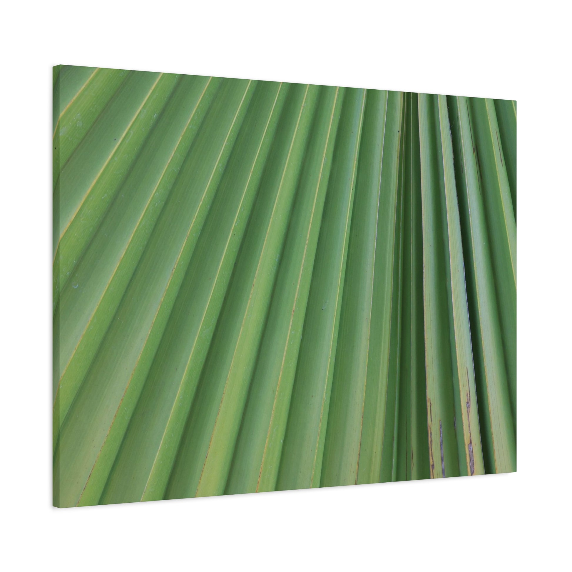 Palm Pulse - Unique Frameless Canvas Wall Art - Art By Earth