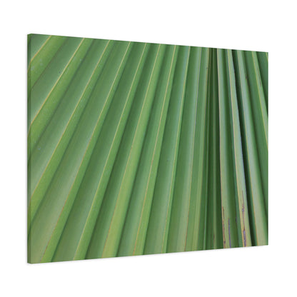 Palm Pulse - Unique Frameless Canvas Wall Art - Art By Earth