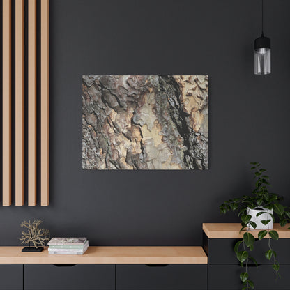 Tree Bark Symphony - Unique Frameless Canvas Wall Art - Art By Earth