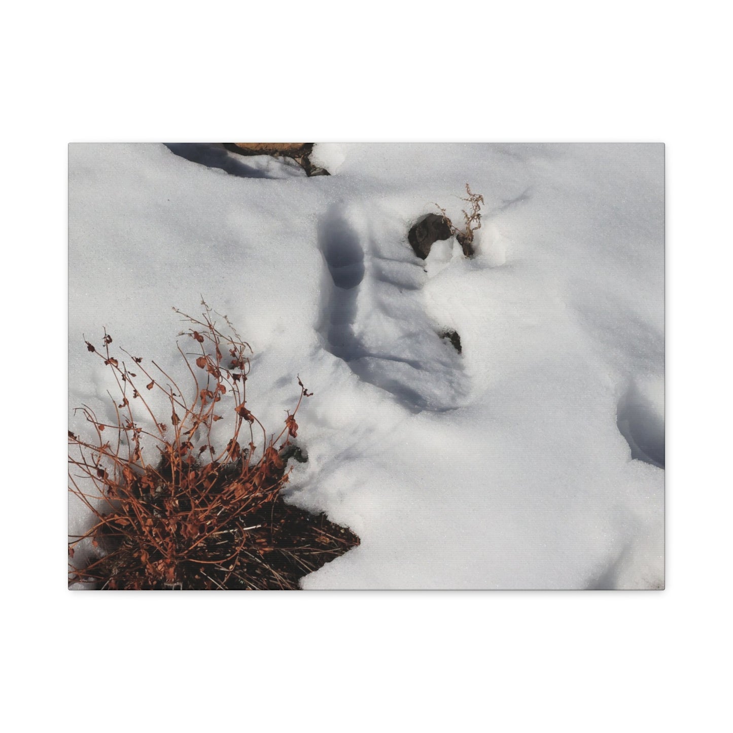 Snow's Tender Embrace - Unique Frameless Canvas Wall Art