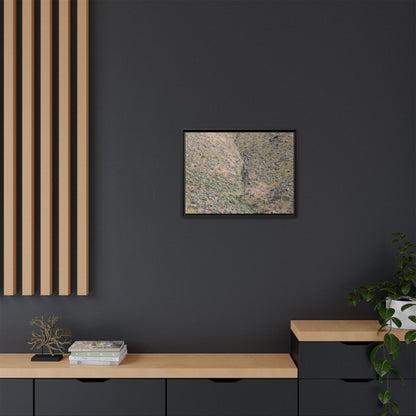 Mountain Slope with Desert Vegetation - Unique Stretched Canvas Wall Art - Art By Earth