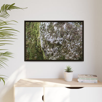 Lichen Landscape - Unique Stretched Canvas Wall Art - Art By Earth