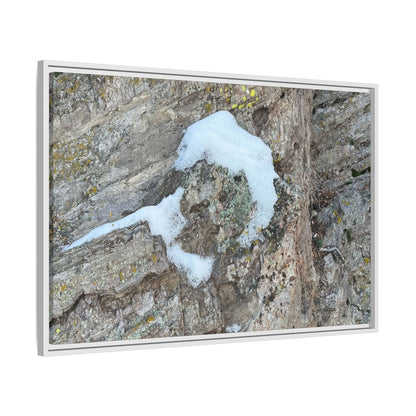 Lichen's Embrace - Unique Stretched Canvas Wall Art