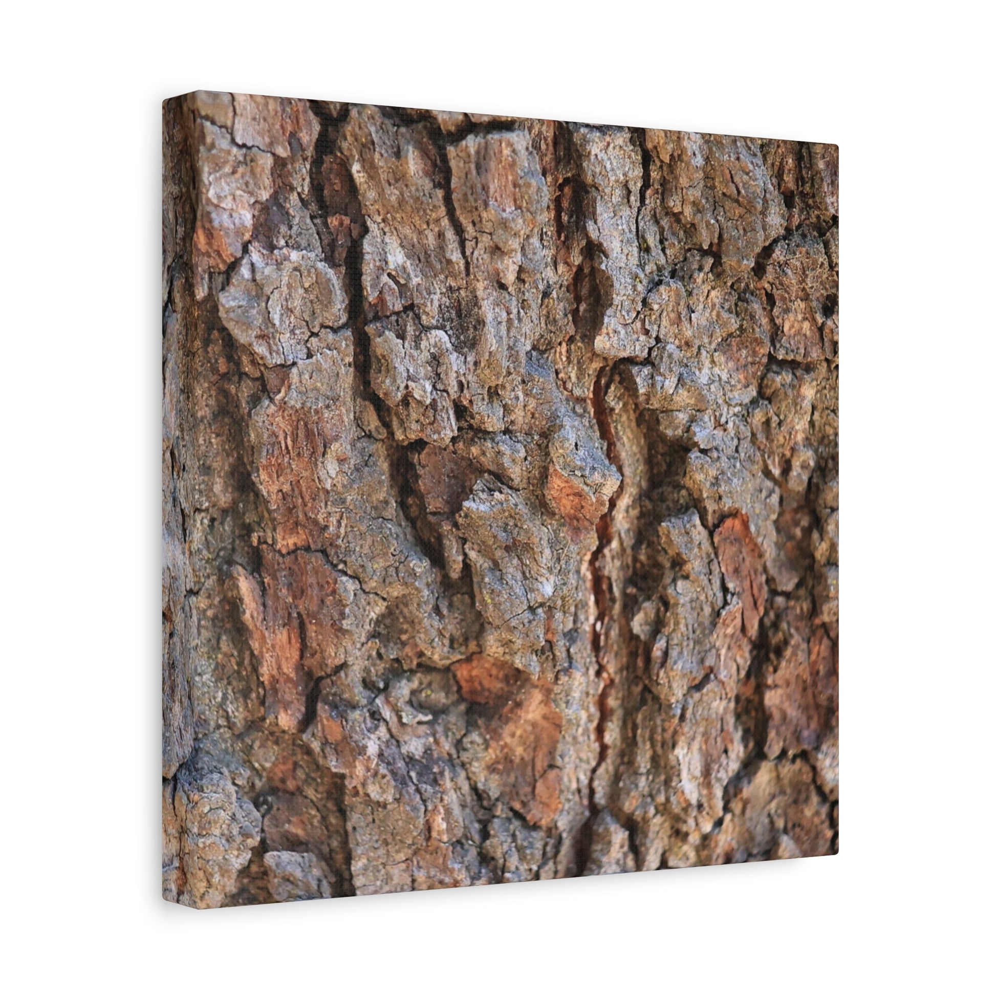 Roots of Time - Unique Frameless Canvas Wall Art - Art By Earth