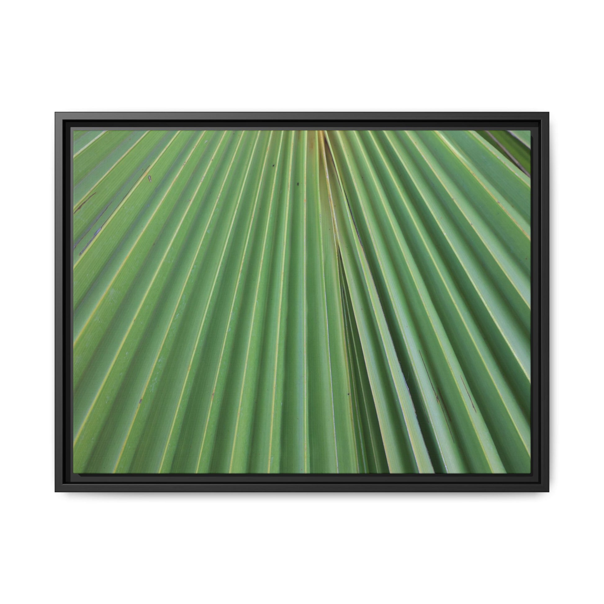 Verdant Veins - Unique Stretched Canvas Wall Art - Art By Earth