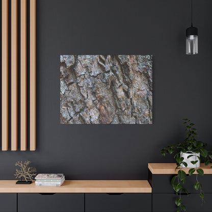 Rugged Canvas - Unique Frameless Canvas Wall Art - Art By Earth