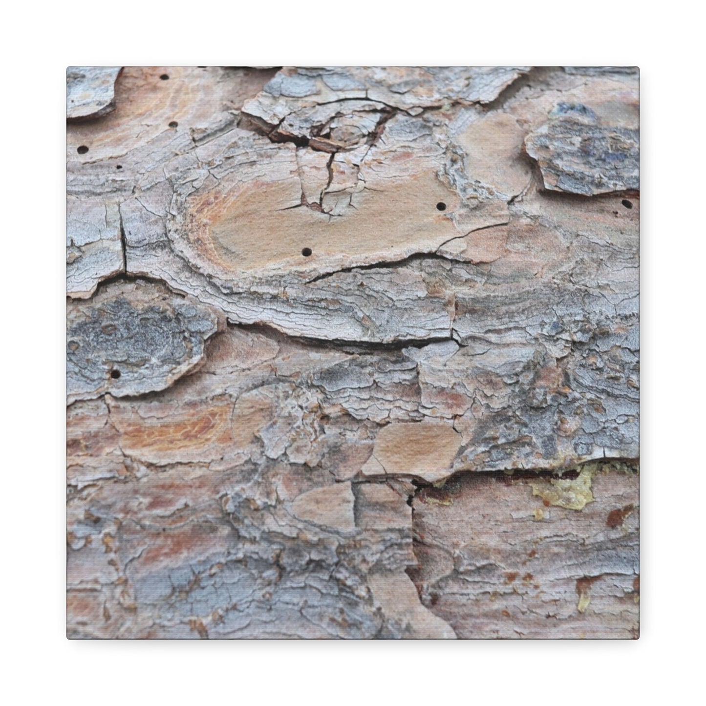 Textural Geology - Unique Frameless Canvas Wall Art - Art By Earth