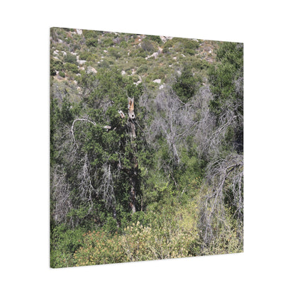Drought-Stricken Forest - Unique Frameless Canvas Wall Art