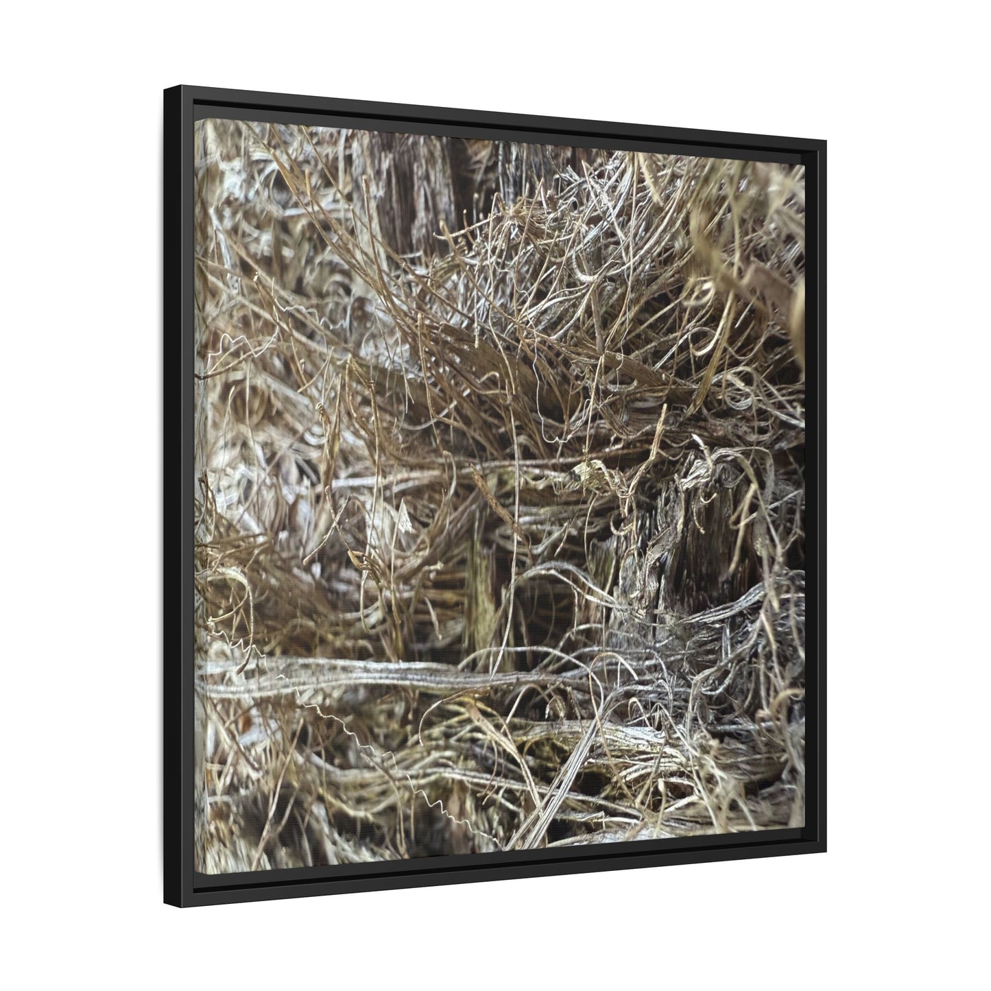 Tangled Whispers of Autumn - Unique Stretched Canvas Wall Art - Art By Earth