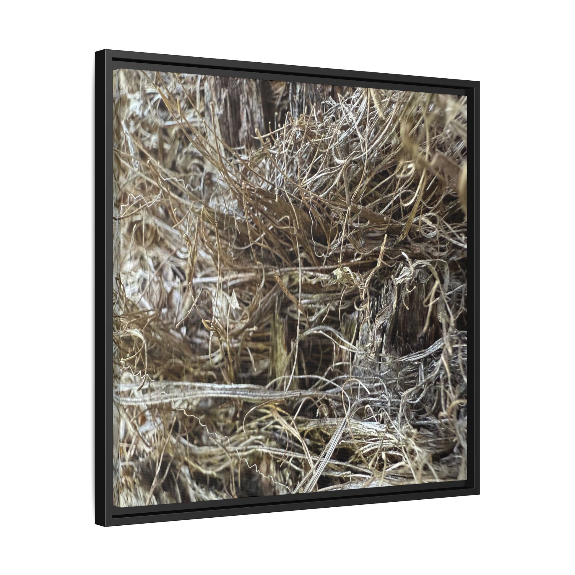 Tangled Whispers of Autumn - Unique Stretched Canvas Wall Art - Art By Earth