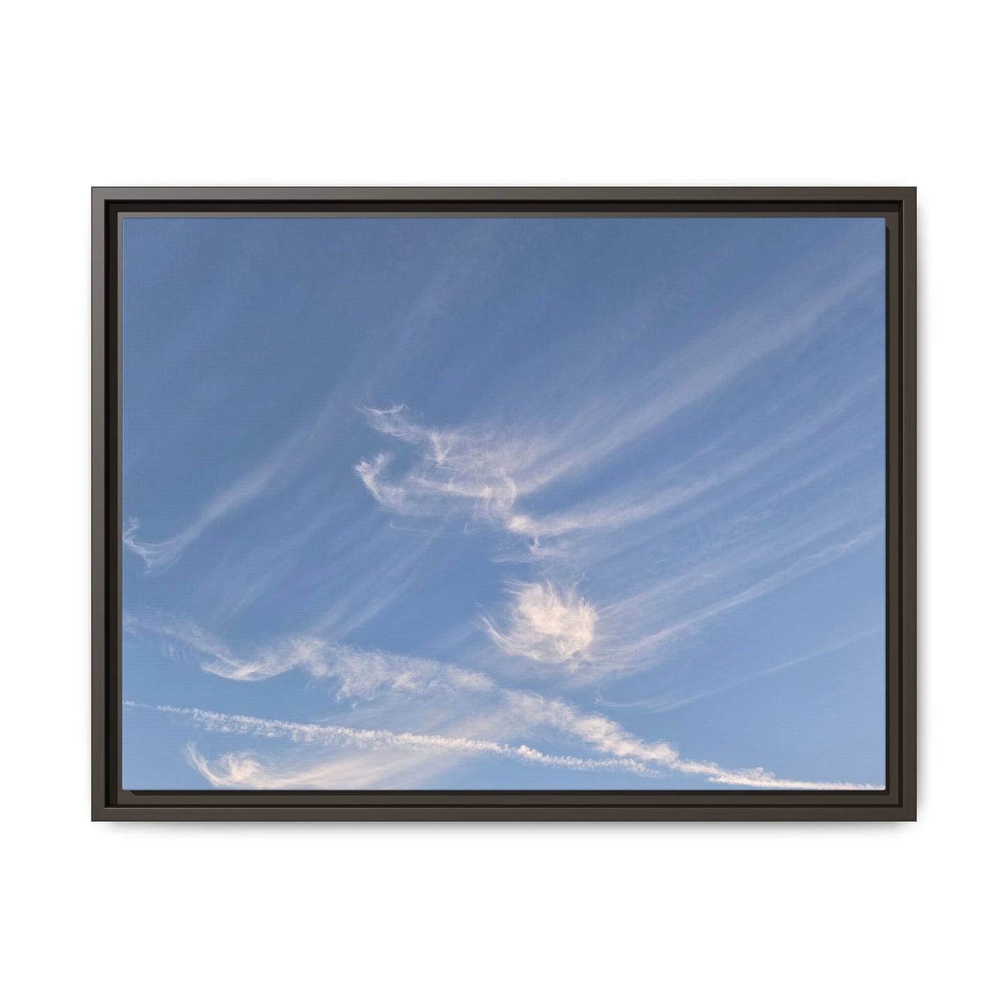 Wispy Dreams - Unique Stretched Canvas Wall Art - Art By Earth