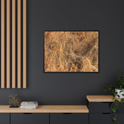Dried Vegetation Study - Unique Stretched Canvas Wall Art - Art By Earth