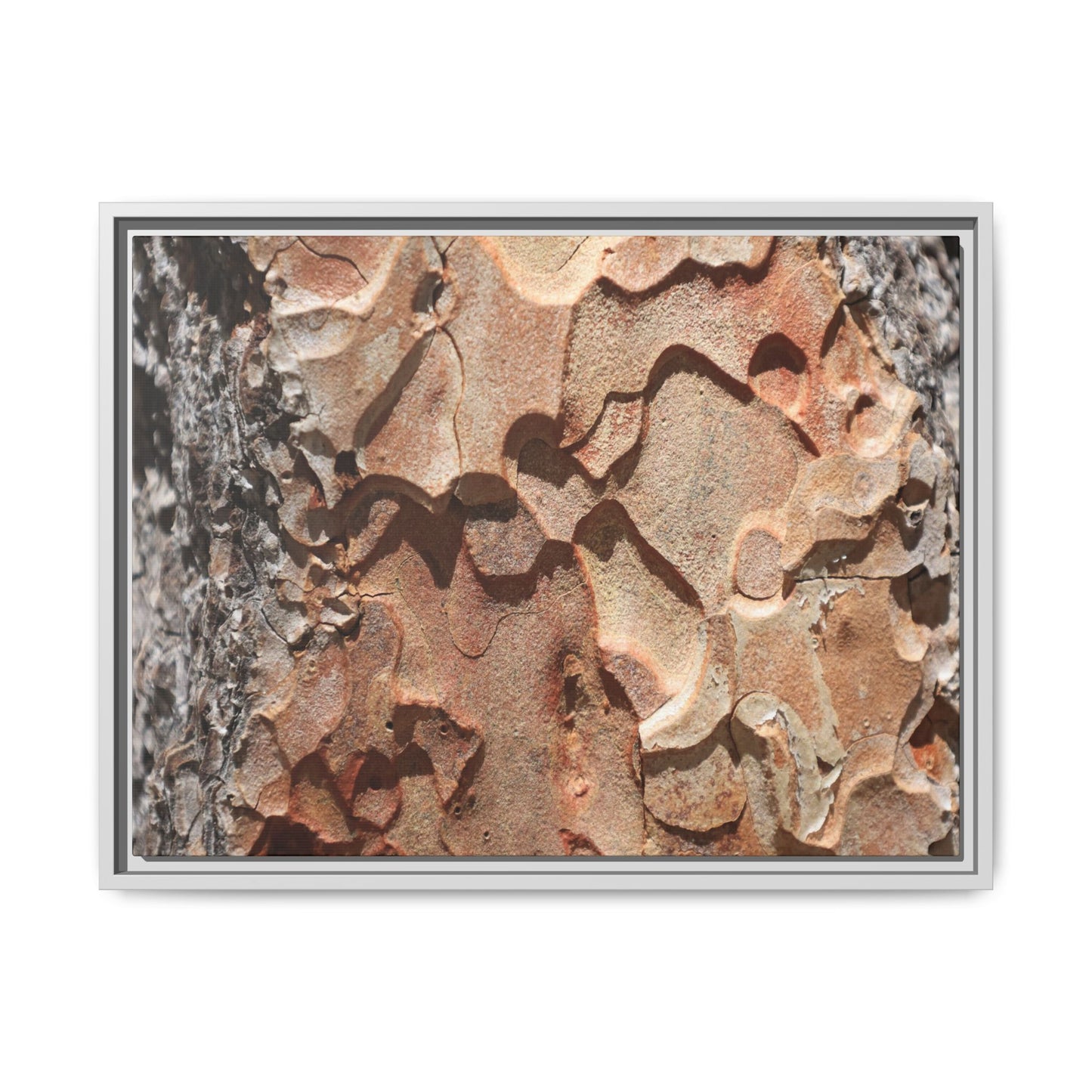 Rust and Stone - Unique Stretched Canvas Wall Art - Art By Earth