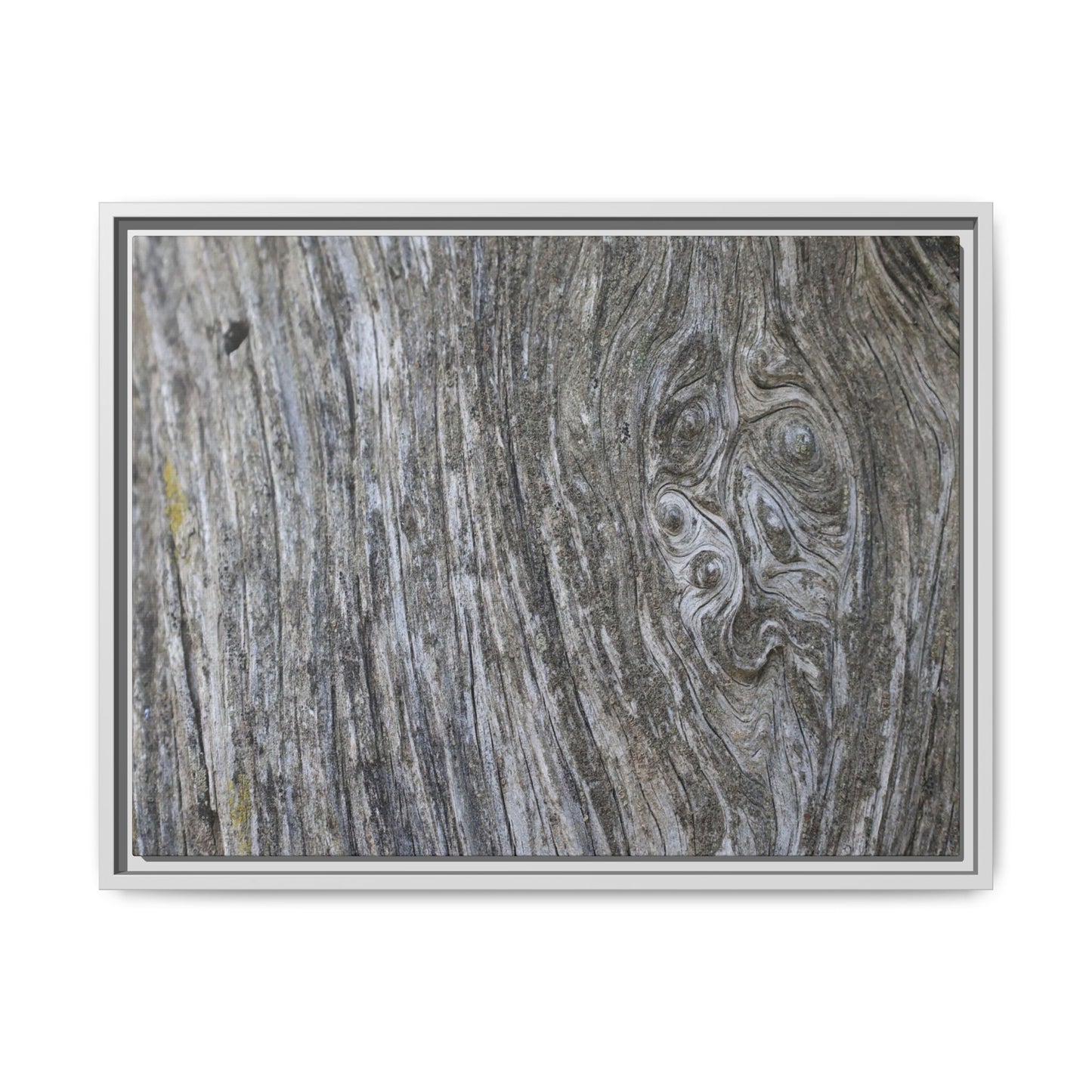 Eternal Knots - Unique Stretched Canvas Wall Art - Art By Earth