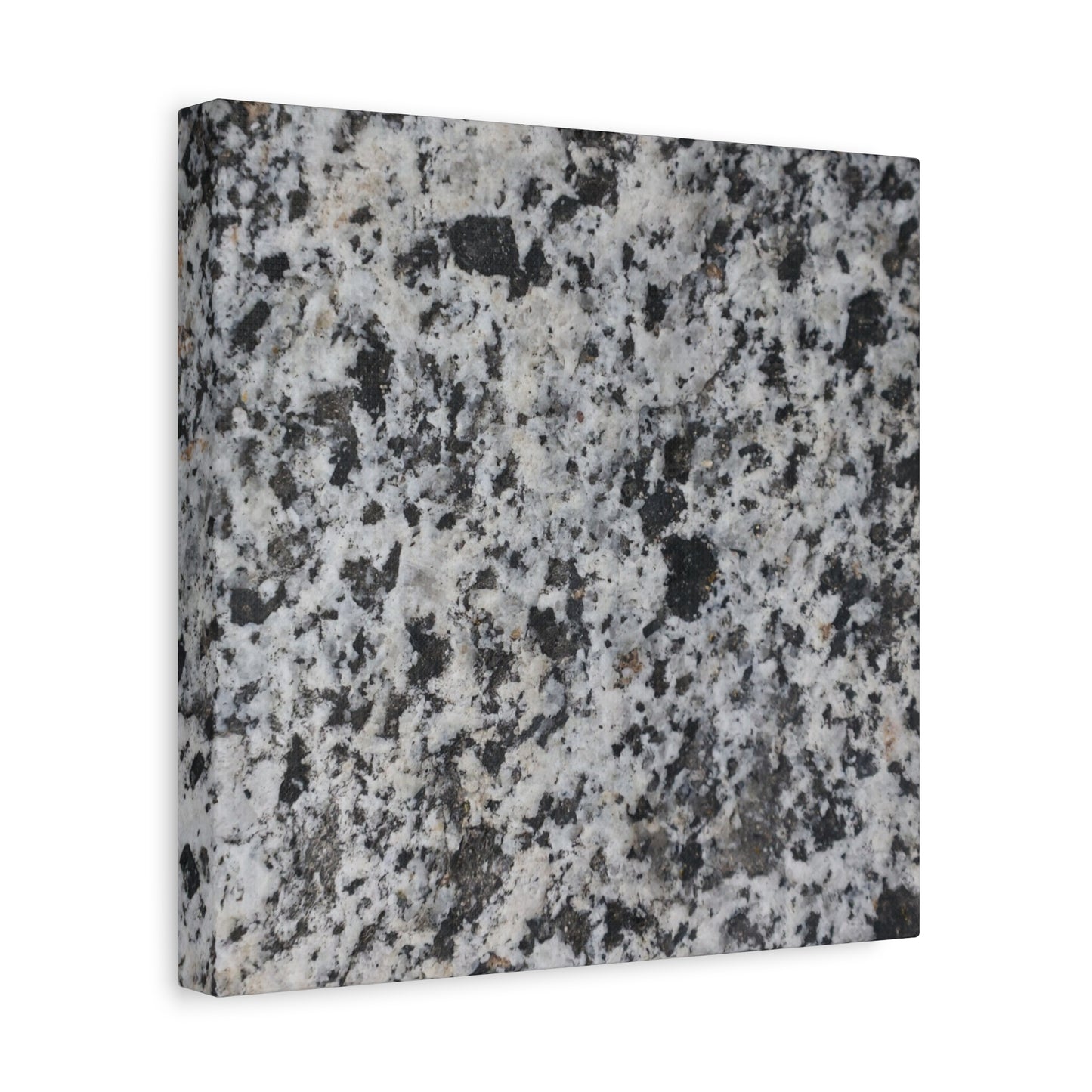 Grainy Whispers - Unique Frameless Canvas Wall Art - Art By Earth