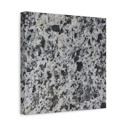 Grainy Whispers - Unique Frameless Canvas Wall Art - Art By Earth