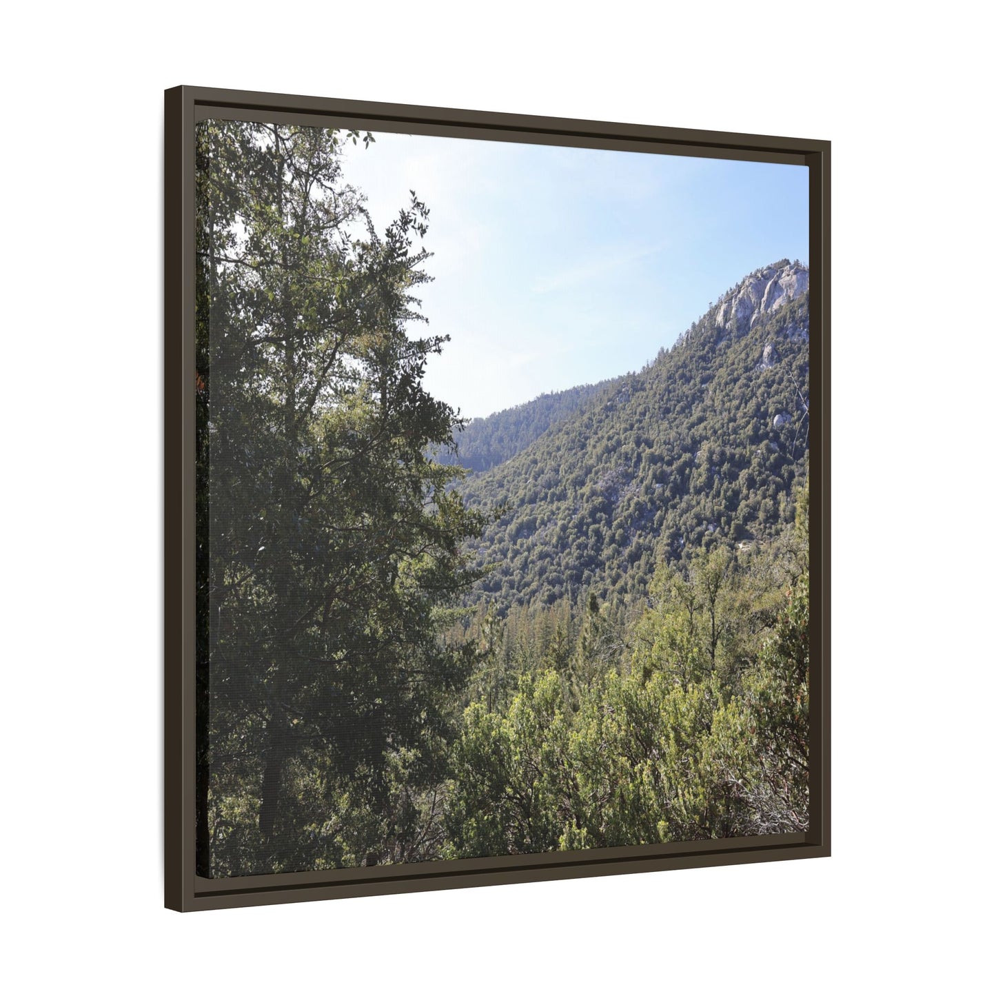Mountain Valley Forest - Unique Stretched Canvas Wall Art