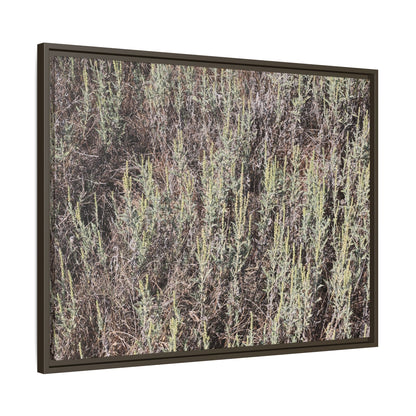 Sage Fields Forever - Unique Stretched Canvas Wall Art - Art By Earth