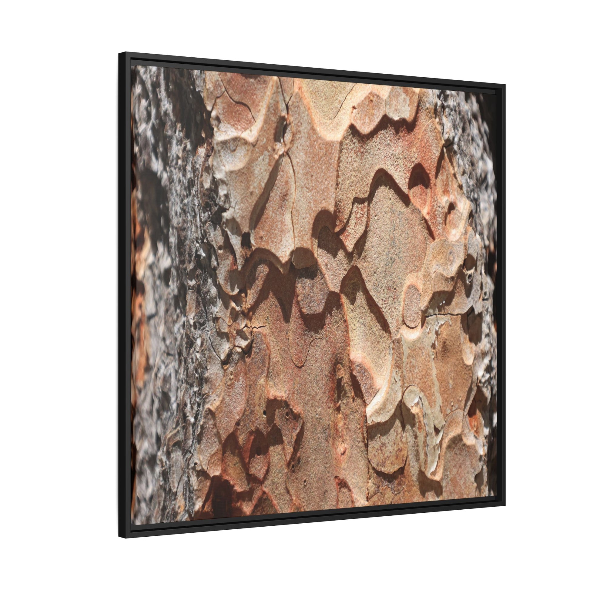 Rust and Stone - Unique Stretched Canvas Wall Art - Art By Earth