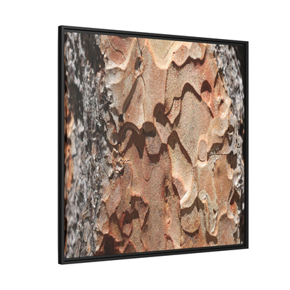 Rust and Stone - Unique Stretched Canvas Wall Art - Art By Earth