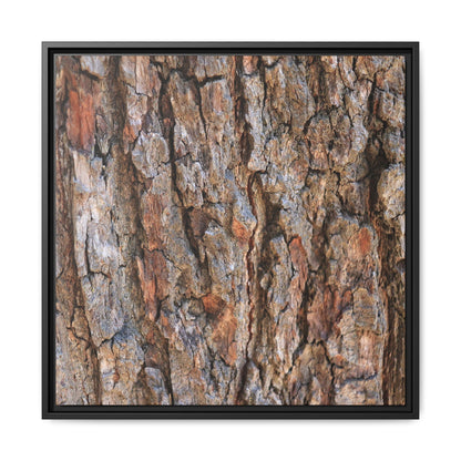 Tree's Timeworn Tale - Unique Stretched Canvas Wall Art - Art By Earth