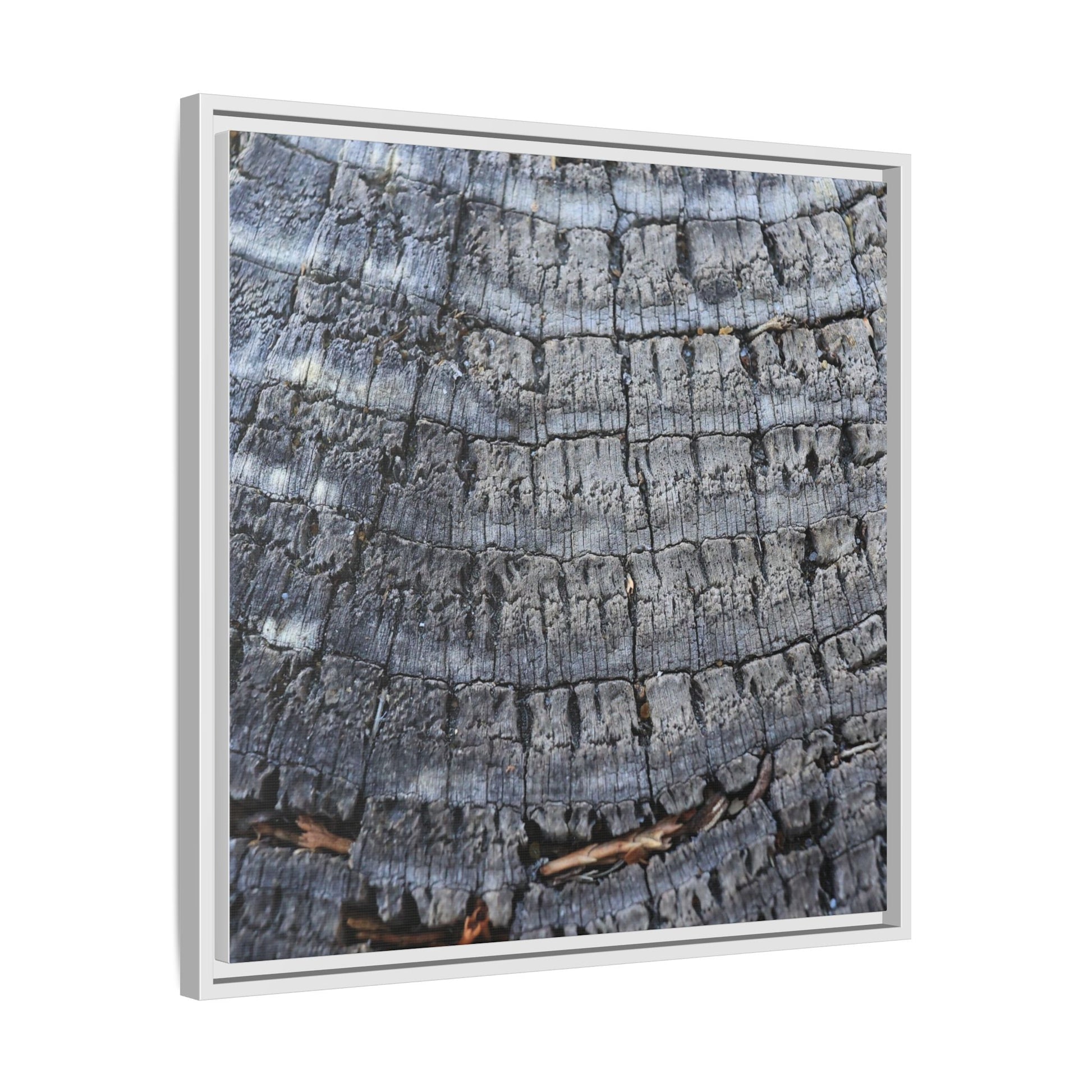Charred Memories - Unique Stretched Canvas Wall Art - Art By Earth