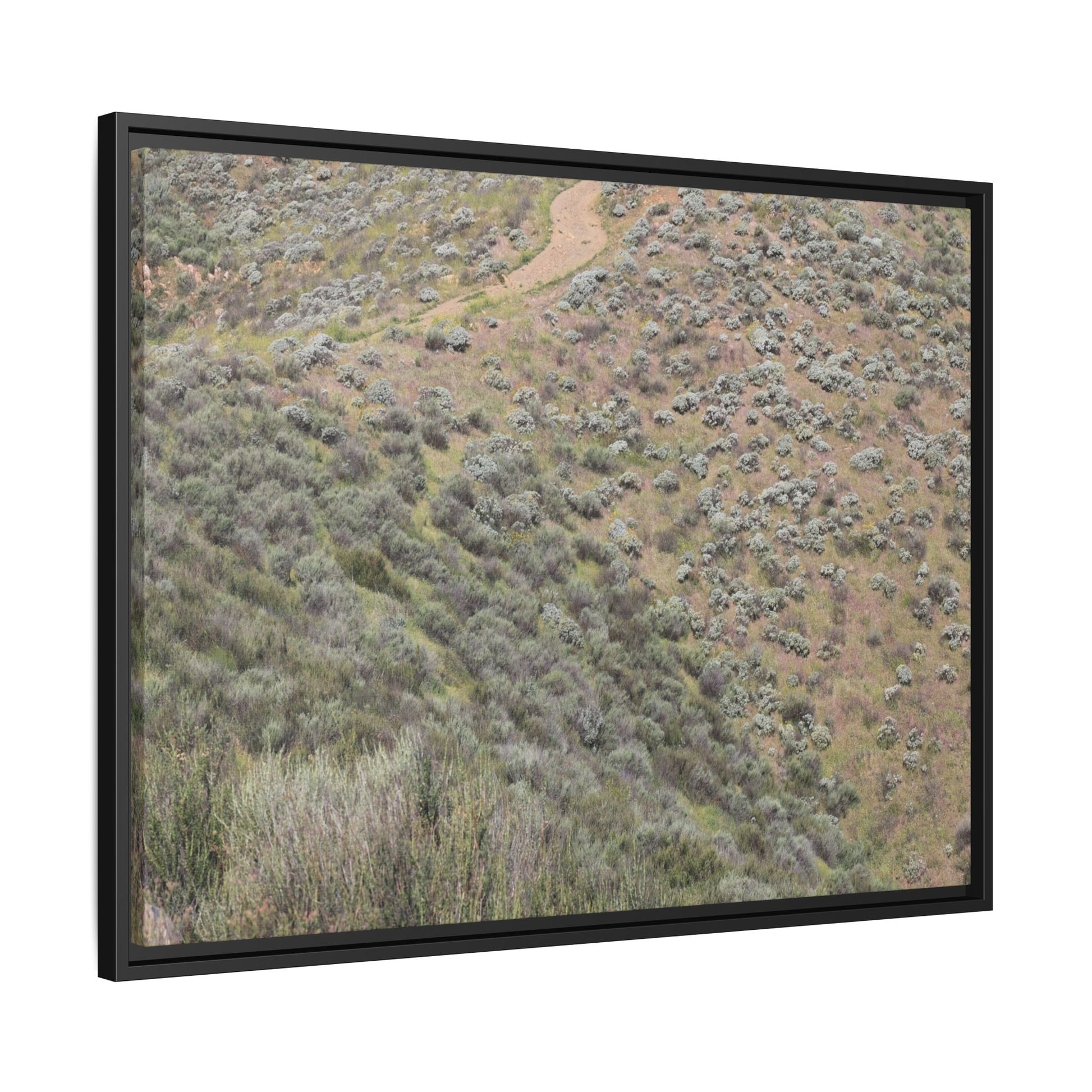 Arid Landscape with Winding Path - Unique Stretched Canvas Wall Art - Art By Earth