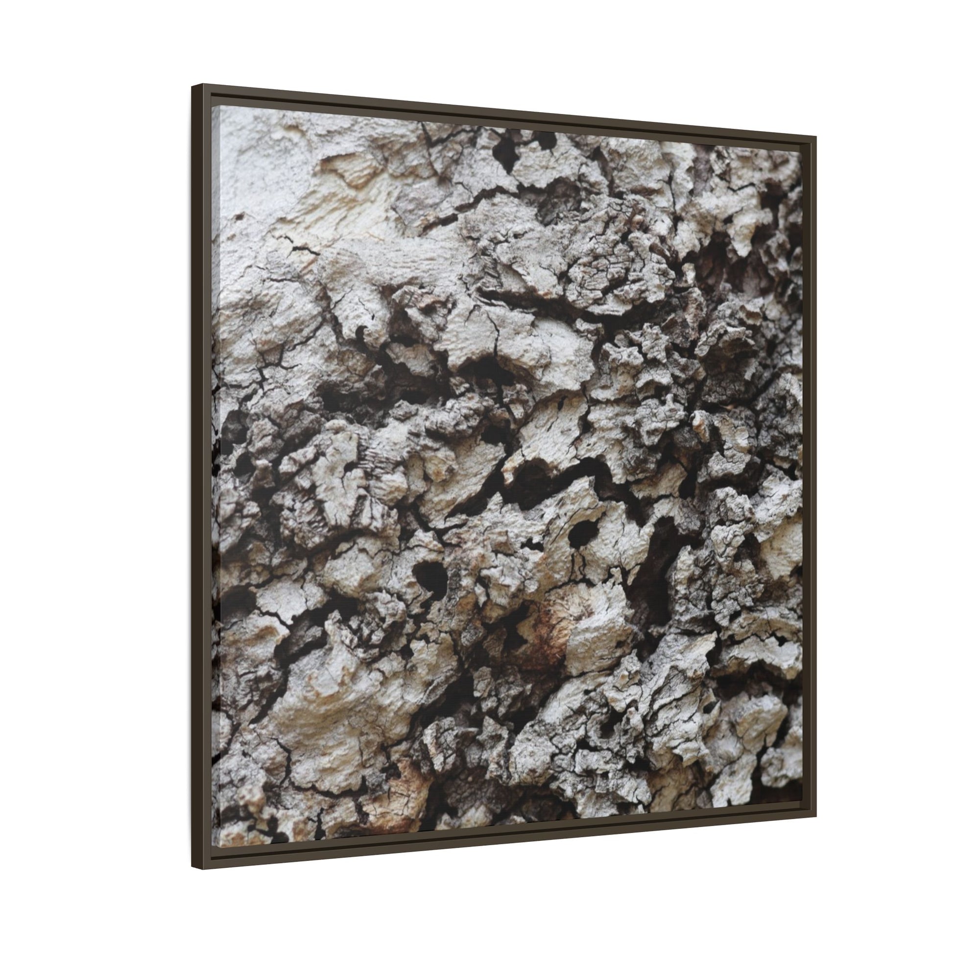 Cracked Terrain - Unique Stretched Canvas Wall Art - Art By Earth