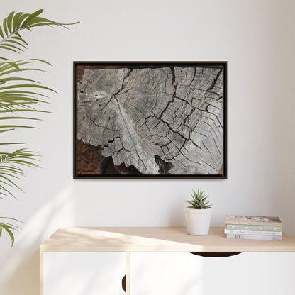 Time's Signature - Unique Stretched Canvas Wall Art - Art By Earth