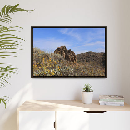 Golden Flowers in Arid Landscape - Unique Stretched Canvas Wall Art - Art By Earth