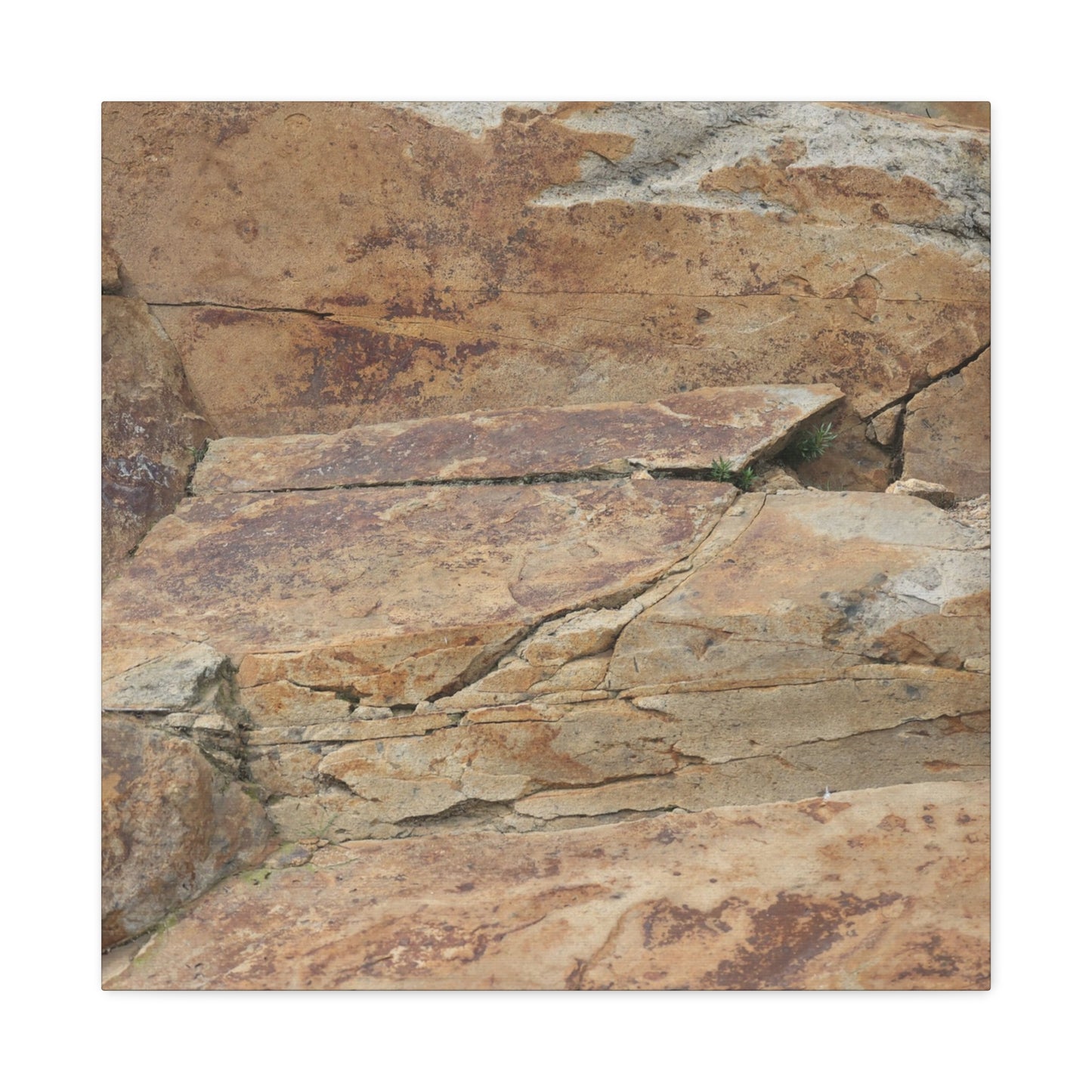 Rocky Terrain - Unique Frameless Canvas Wall Art - Art By Earth