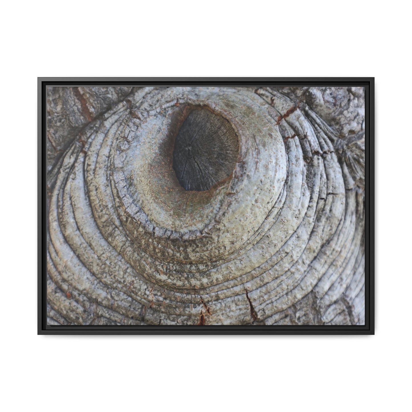 Echoes of Time - Unique Stretched Canvas Wall Art - Art By Earth