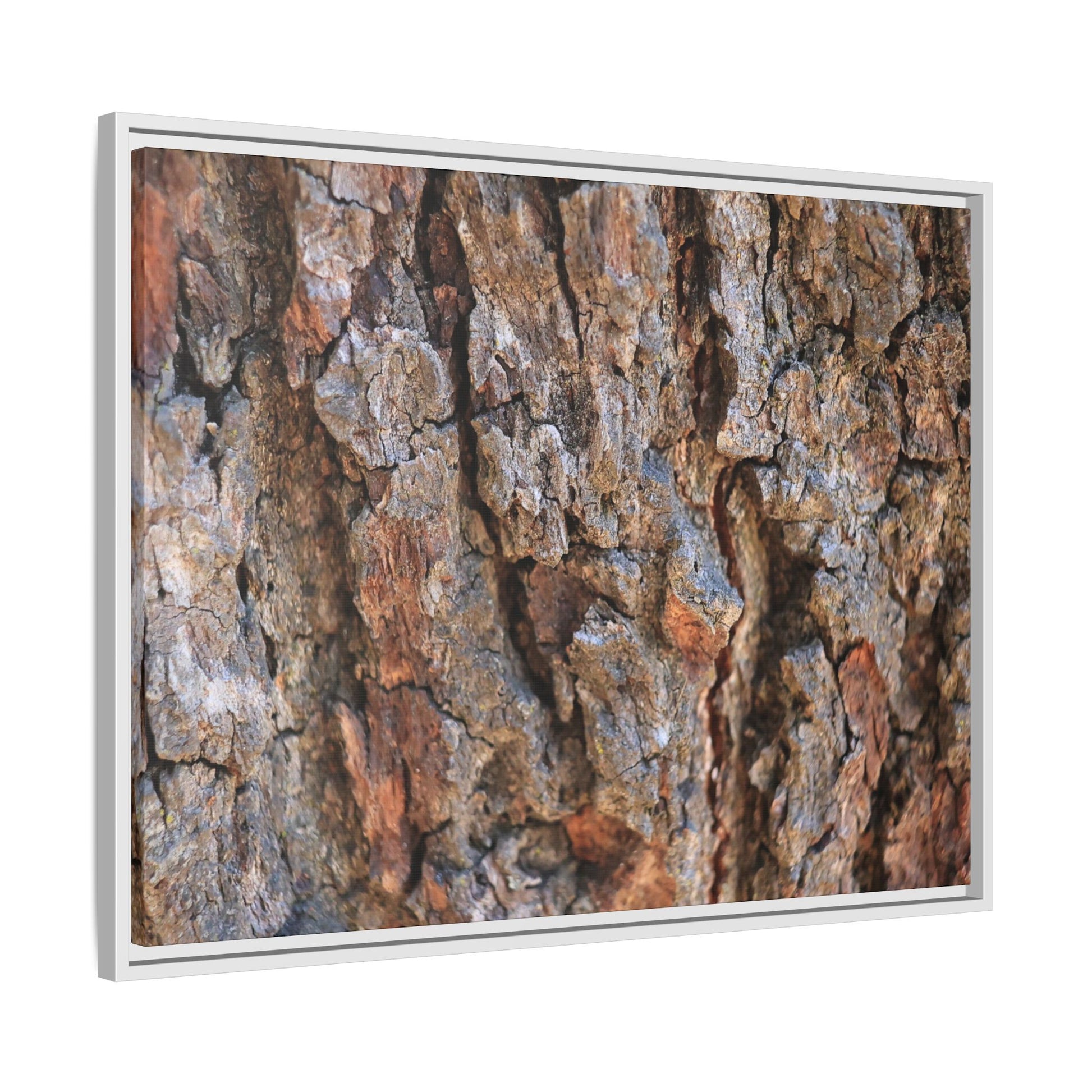 Craggy Textures - Unique Stretched Canvas Wall Art - Art By Earth