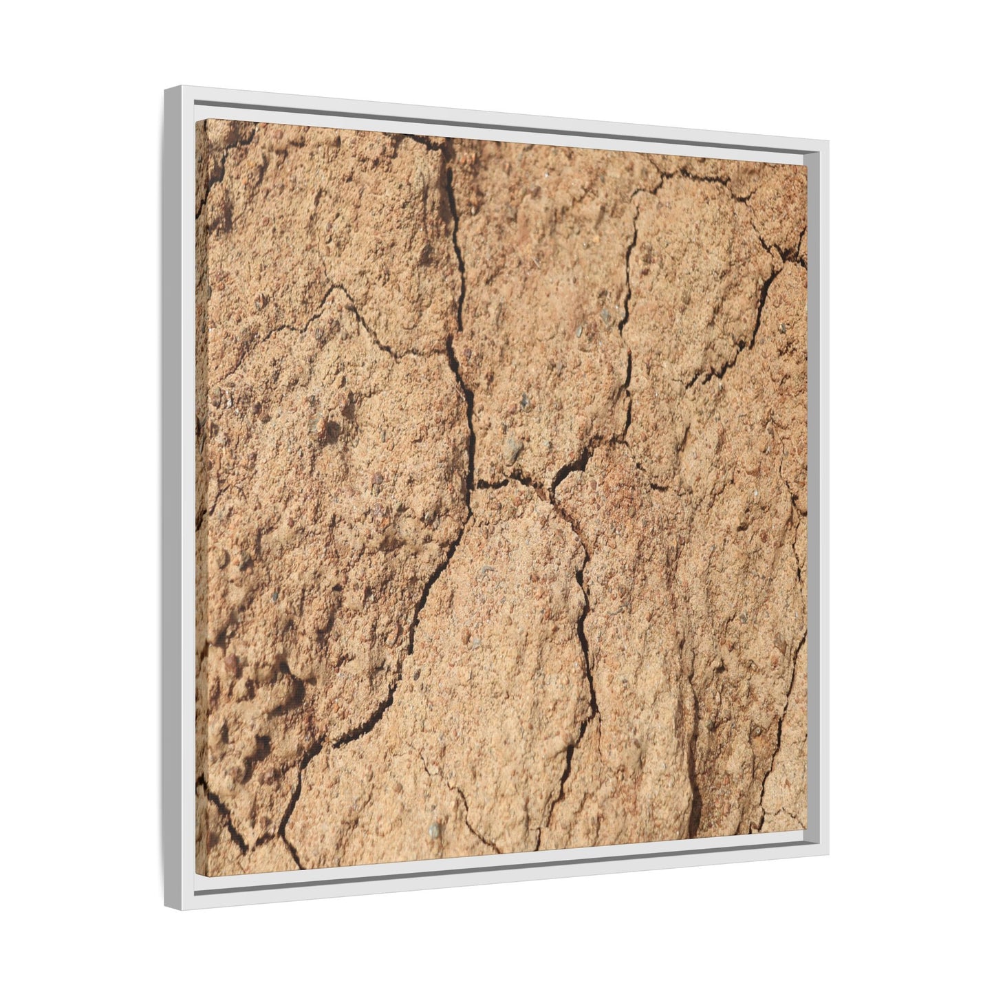 Parched Land - Unique Stretched Canvas Wall Art - Art By Earth